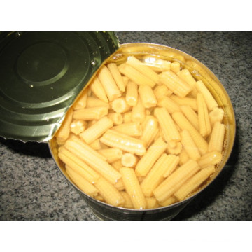 Baby Corn Cut Canned Baby Corn mit günstigen Preis